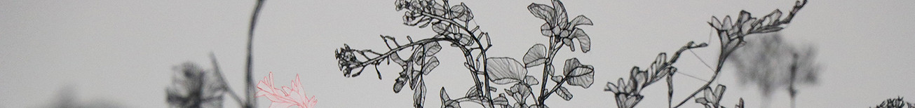 The Marvelous Cacophony 2018.jpg