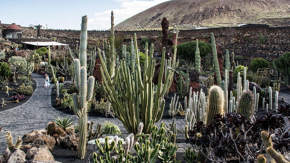 What to visit in Lanzarote?