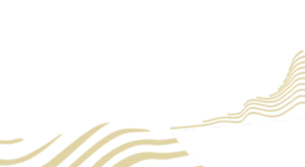 CHOCHO 适配图形3_edited.png