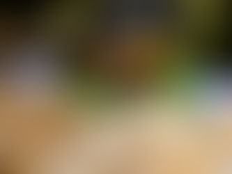 Hotel Ravesis - Chicken Burger