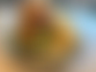 The Tame Fox - Crikey Burger