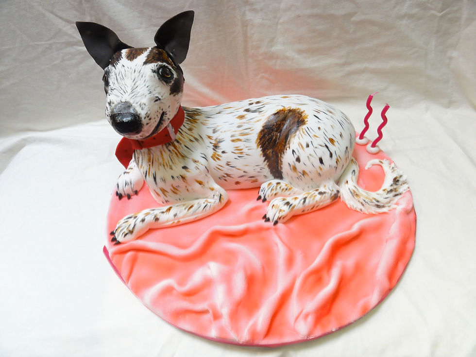 photoes 2014-2015-(1 of 1)