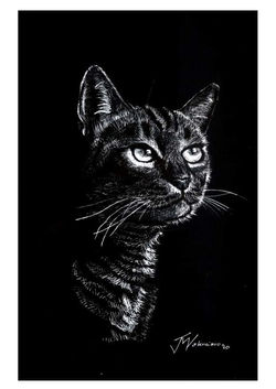 received_713370349398264