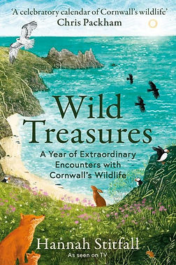 Screenshot 2025-05-02 210957.jpg