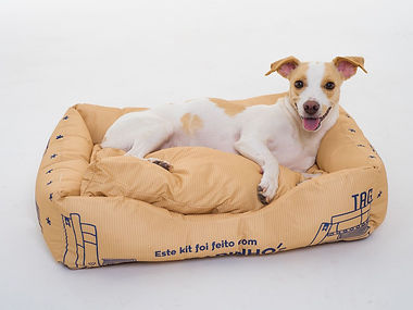 80-cama-pet-tag-tamanho-g-620.jpg