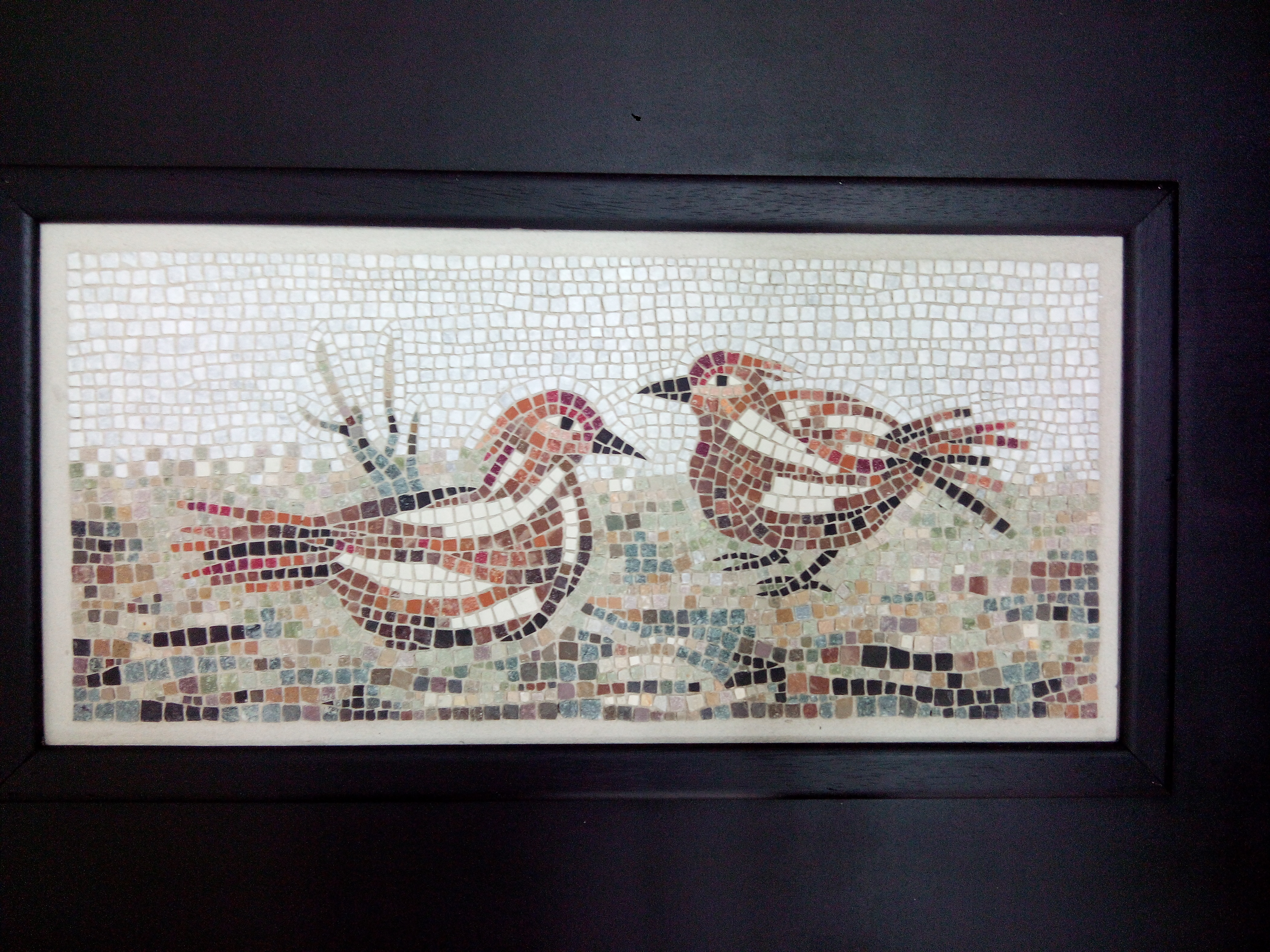 PÁJAROS EN EL CAMPO