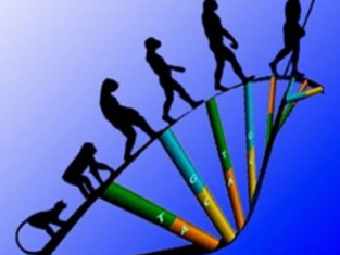 The Gene Trade: Making the Market for Gene-altering Interventions and Medical Selection