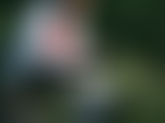 What Students Should Know About Credit Before Signing Their First Lease