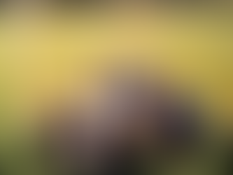 Quiet Wealth: A Parent’s Guide to Raising Thriving Children