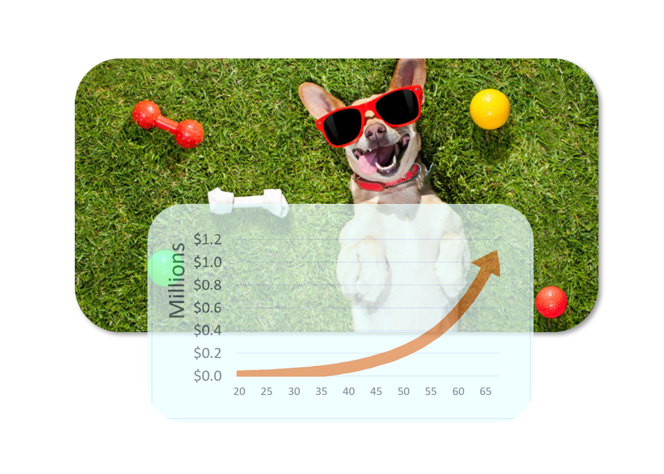 Is a pet right for you? How personal finance addresses this question