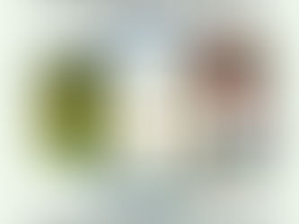 Buy a great home with a GREAT decision process