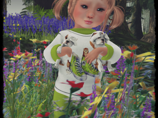 I found dogis