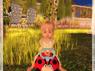 Summer Feeling