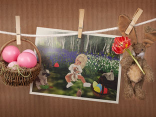 are not the cute bunnies!