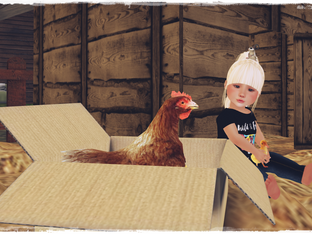 Sweet Baby Chicken