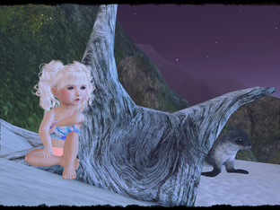 Beach night