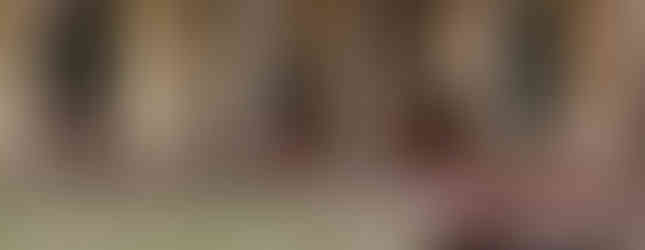 Museo Inka de Cusco: un viaje al pasado de la civilización Inca