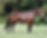 IMG_2507.png