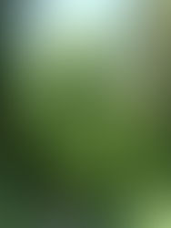 Rencontre avec notre (H)être...