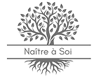 logo naitreasoi.com.png