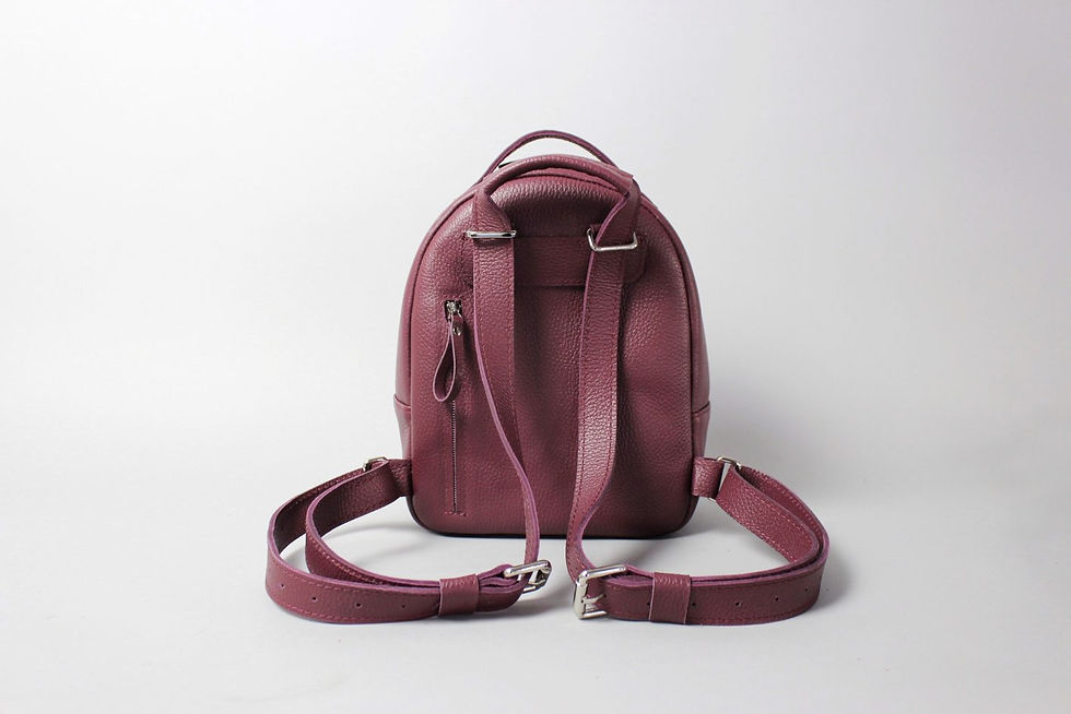 Прев'ю: Кожаный рюкзак "Mini Alabama"