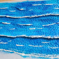 1718036222503.jpg