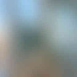 Plantes dans bureaux