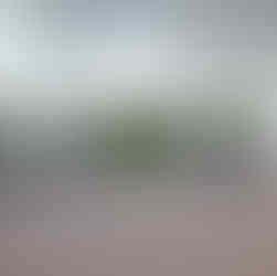 Design végétal location