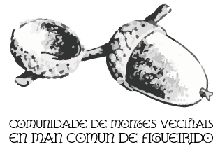 figueirido-logo-gris.gif