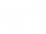 PDF_white.png