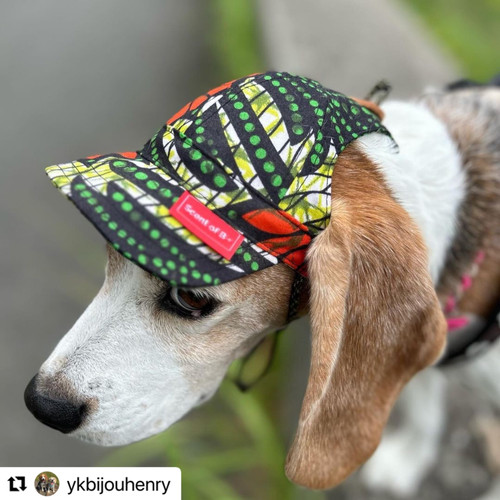 ドドさんアフリカンショップ Dodosanafricanshop . ドドさんアフリカンショップ