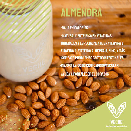 Miniatura: Leche Vegetal