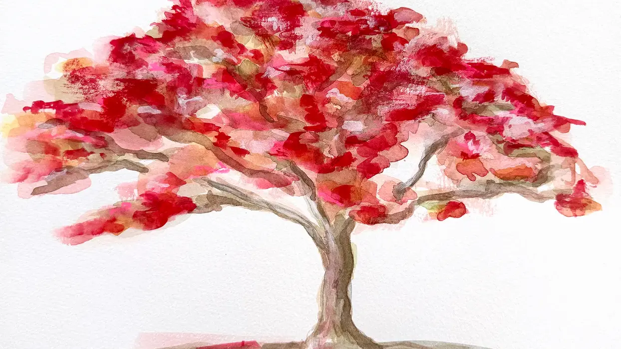 Flamboyán painting by Christina Lewis Vizcarrondo — watercolor and acrylic artwork of flamboyán tree flowers from the Sacred Botanica series.