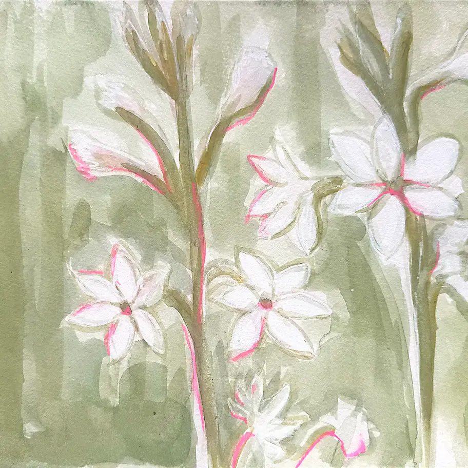 Azucenas painting by Christina Lewis Vizcarrondo — watercolor and acrylic Caribbean lilies