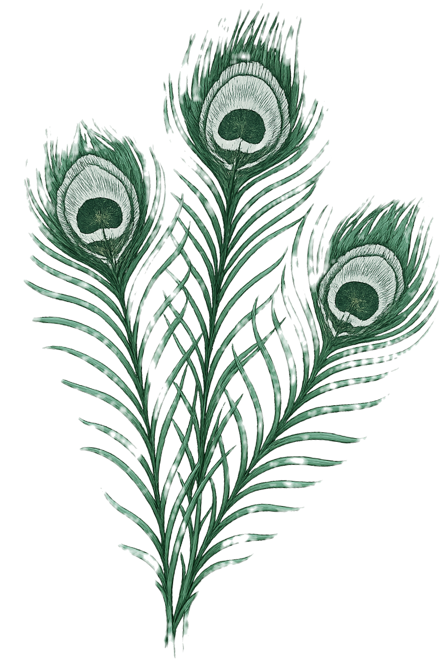 ChatGPT Image Aug 12, 2025, 03_44_37 PM_edited.png