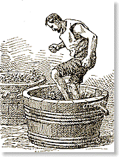 image7.gif