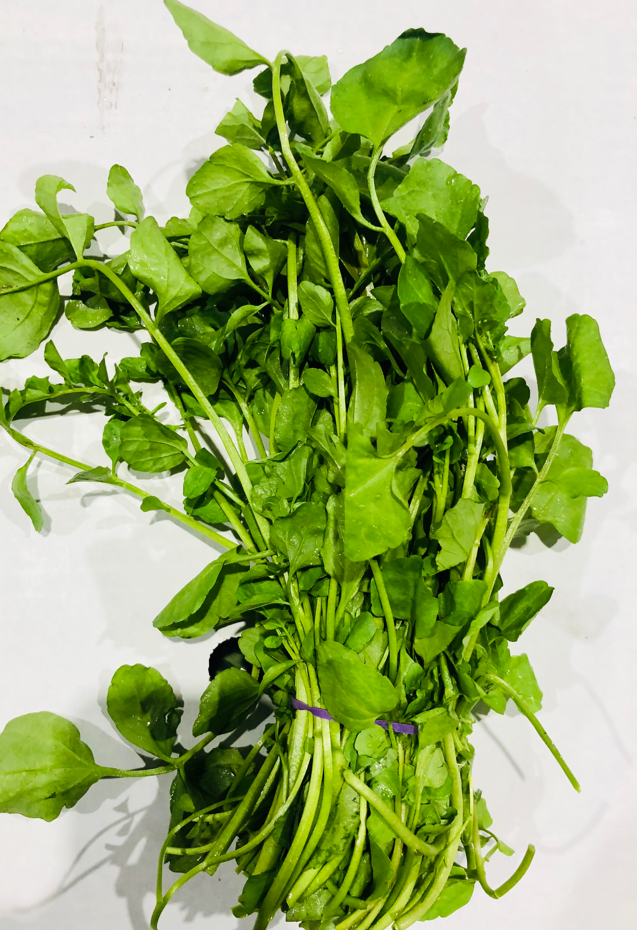 White Watercress