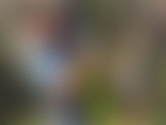 The Most Interesting Man in Golf