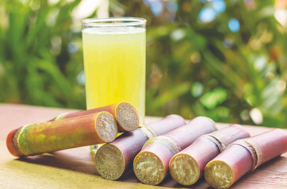 Know What You Eat All about sugarcane