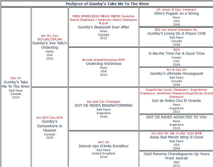 Attagirl Pedigree.jpg