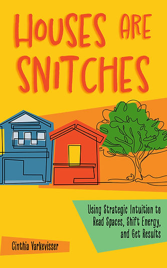 snitches-front-cover-v8 (1).jpg