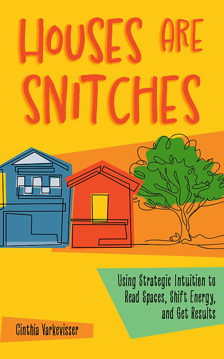 snitches-front-cover-v8 (1).jpg