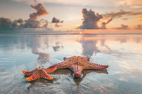 iStock-621139242.jpg