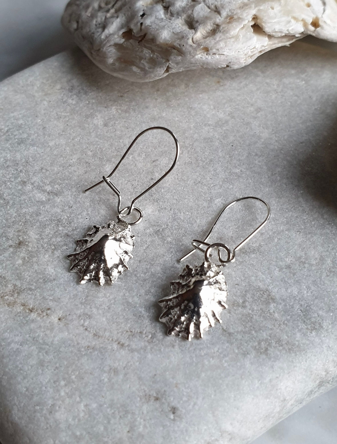 Silver Mini Limpet Shell Earrings