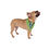 Thumbnail: Trendy Pet Bandana with Artistic Design, Stylish Dog Accessory for Pets