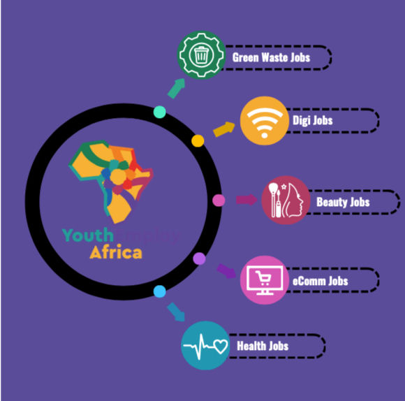 This the 5 categories of jobs in YouthEmploy Africa