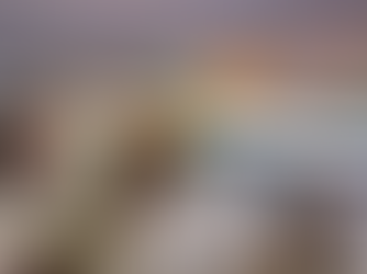 Carabineros detiene a mujer con 2,400 metros de pasto sintético robado de cancha de Hockey