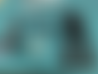 Carabineros Arresta a Dos Individuos por Posesión de Arma de Fuego