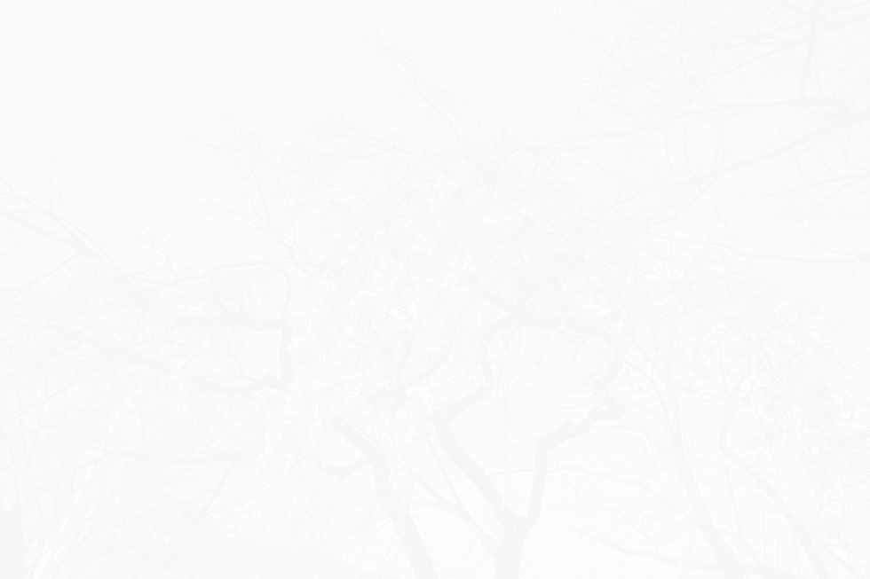 _MG_6538_edited.png