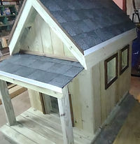 doghouse12_edited.jpg